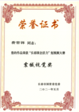 10.“长春国企活力”短视频大赛：震撼视觉奖.png